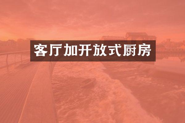 客厅加开放式厨房