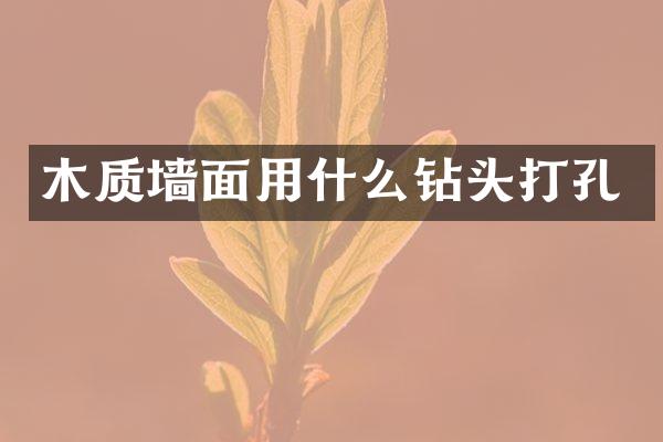 木质墙面用什么钻头打孔