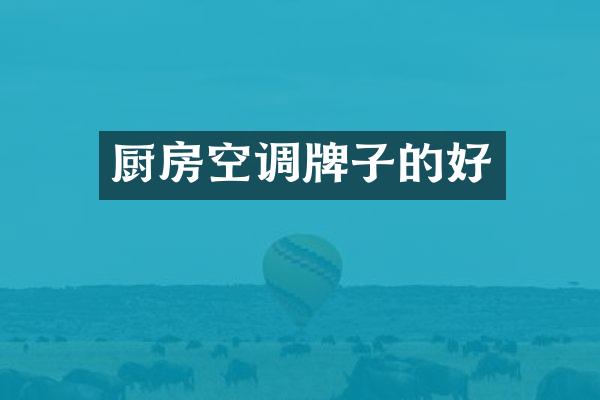 厨房空调牌子的好