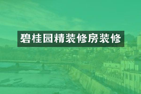 碧桂园精装修房装修