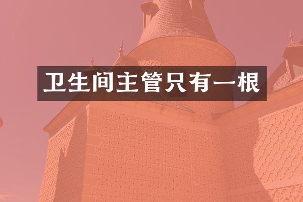 卫生间主管只有一根
