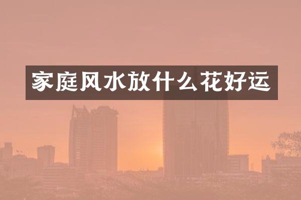 家庭风水放什么花好运