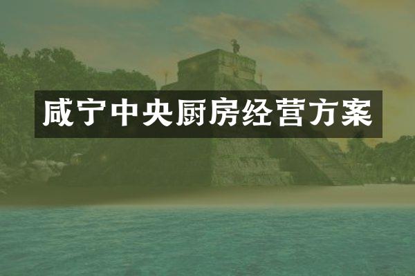 咸宁中央厨房经营方案