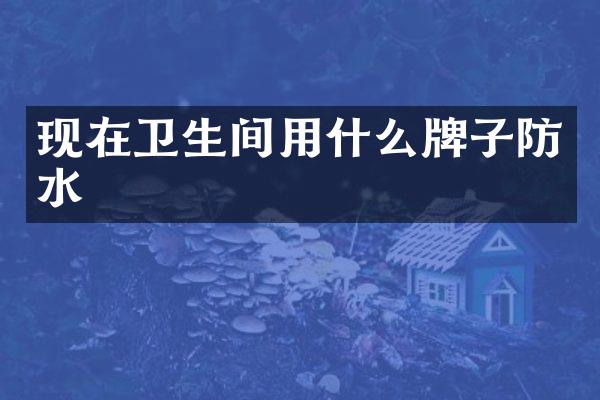 现在卫生间用什么牌子防水
