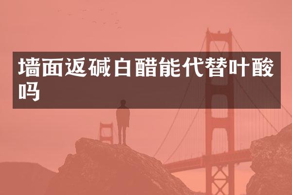 墙面返碱白醋能代替叶酸吗