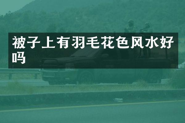 被子上有羽毛花色风水好吗