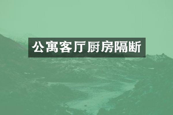 公寓客厅厨房隔断