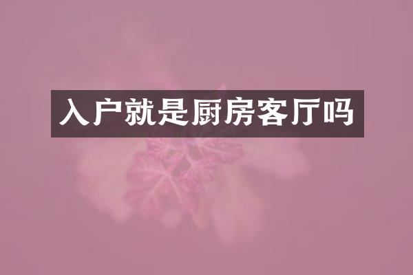 入户就是厨房客厅吗