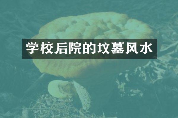学校后院的坟墓风水