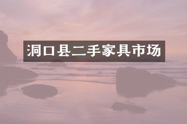 洞口县二手家具市场