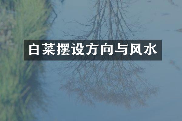 白菜摆设方向与风水