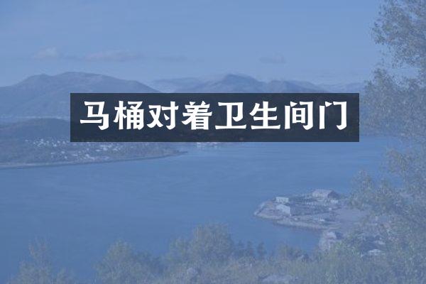 马桶对着卫生间门