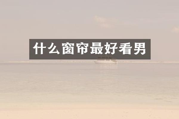 什么窗帘最好看男