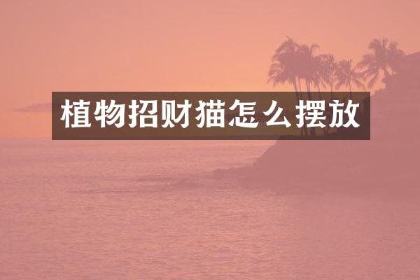 植物招财猫怎么摆放