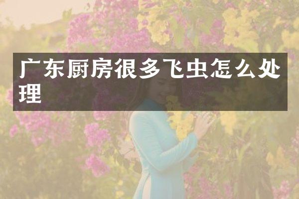 广东厨房很多飞虫怎么处理