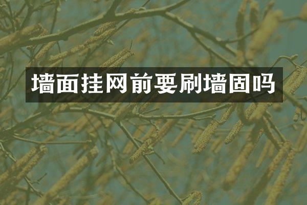 墙面挂网前要刷墙固吗