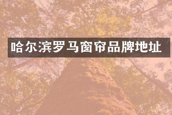 哈尔滨罗马窗帘品牌地址