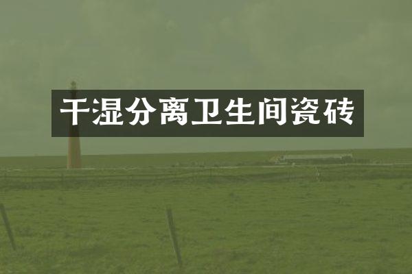 干湿分离卫生间瓷砖