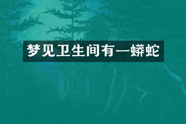 梦见卫生间有一蟒蛇