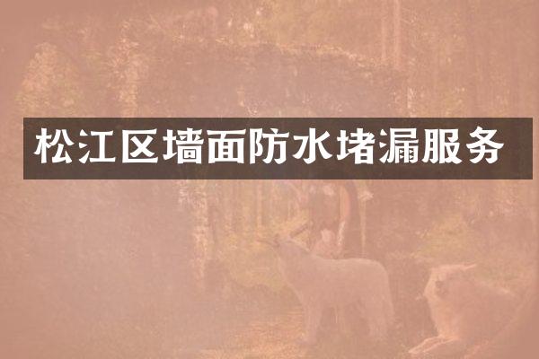 松江区墙面防水堵漏服务