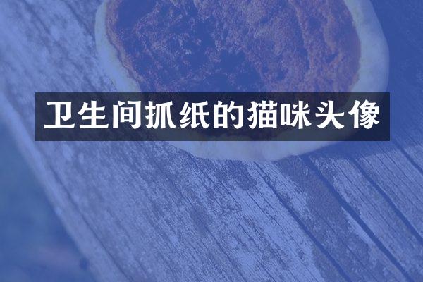 卫生间抓纸的猫咪头像