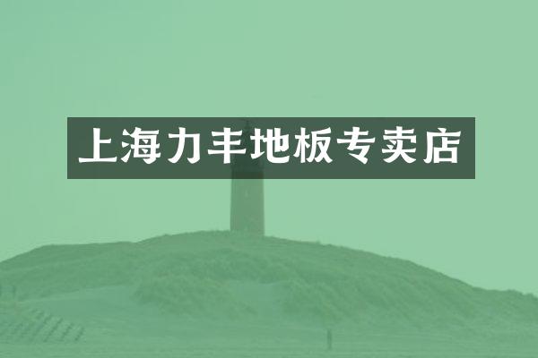 上海力丰地板专卖店