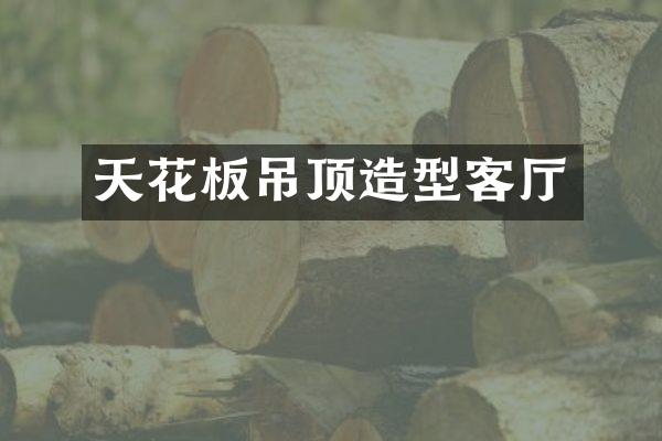 天花板吊顶造型客厅
