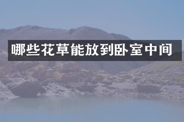哪些花草能放到卧室中间
