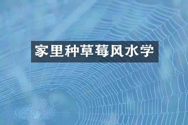 家里种草莓风水学