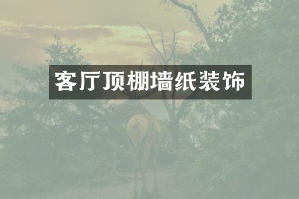 客厅顶棚墙纸装饰