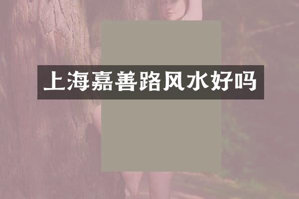 上海嘉善路风水好吗