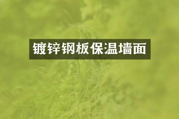 镀锌钢板保温墙面