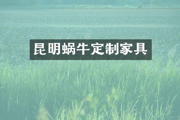 昆明蜗牛定制家具