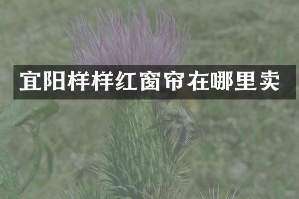 宜阳样样红窗帘在哪里卖