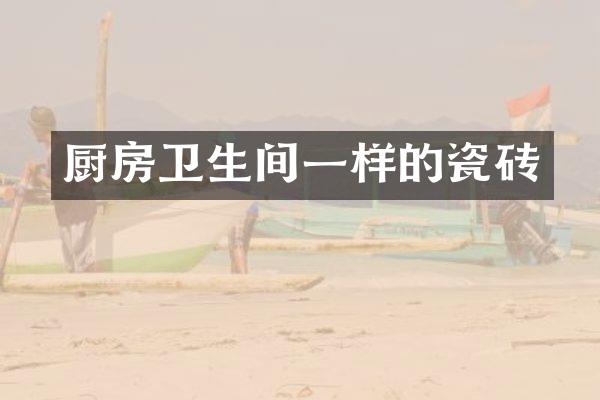 厨房卫生间一样的瓷砖