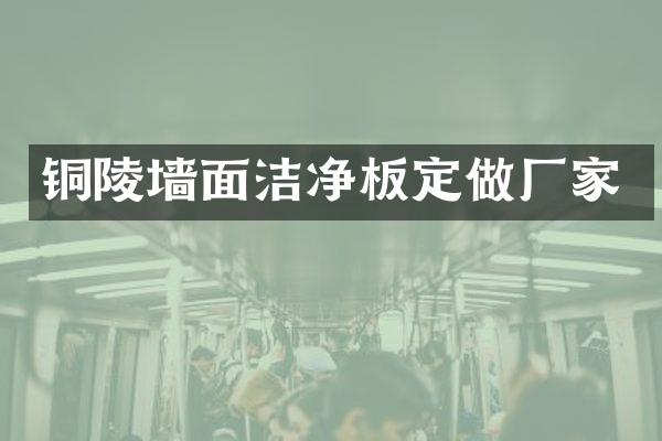铜陵墙面洁净板定做厂家