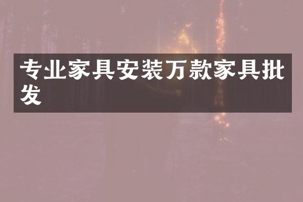 专业家具安装万款家具批发