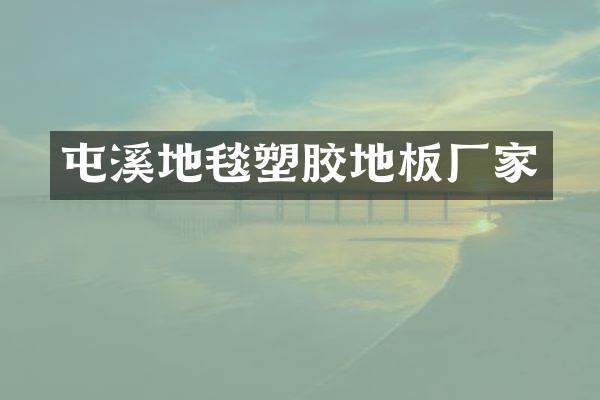 屯溪地毯塑胶地板厂家
