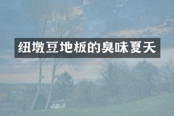 纽墩豆地板的臭味夏天