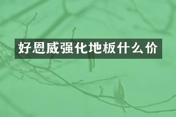好恩威强化地板什么价