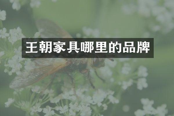 王朝家具哪里的品牌