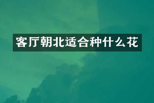 客厅朝北适合种什么花