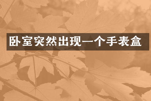 卧室突然出现一个手表盒