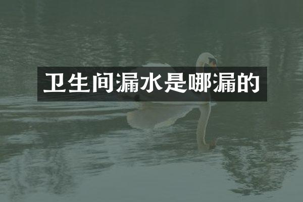 卫生间漏水是哪漏的