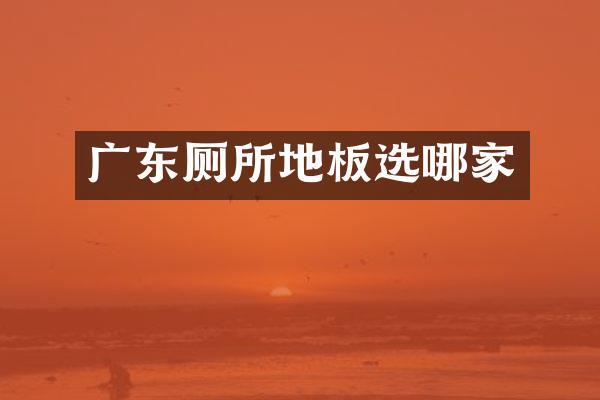 广东厕所地板选哪家