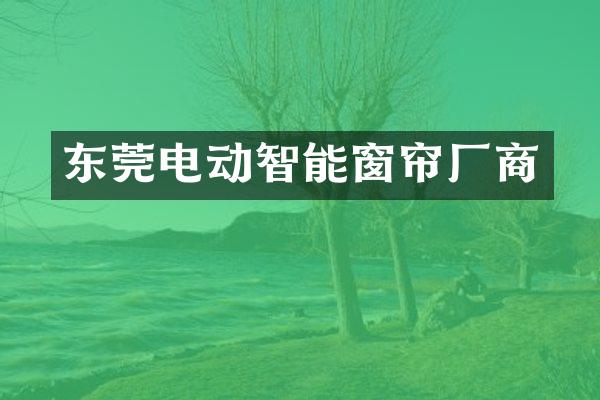 东莞电动智能窗帘厂商