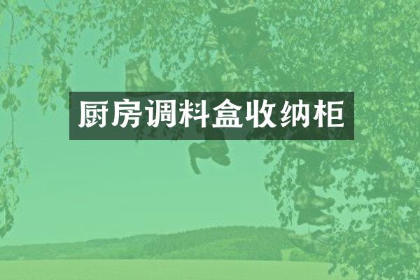 厨房调料盒收纳柜