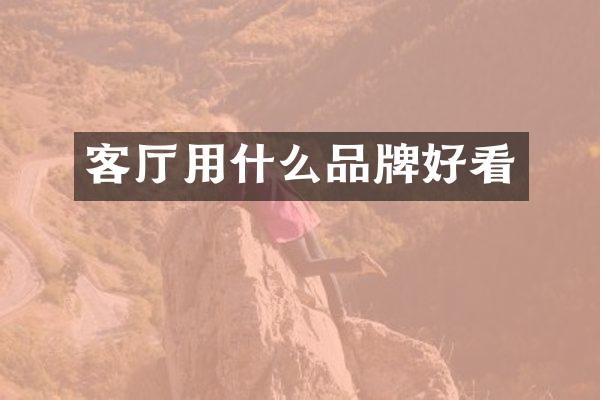 客厅用什么品牌好看