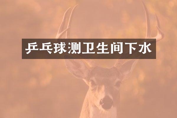 乒乓球测卫生间下水