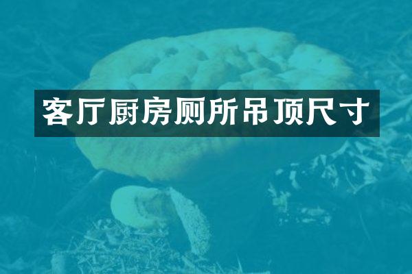 客厅厨房厕所吊顶尺寸